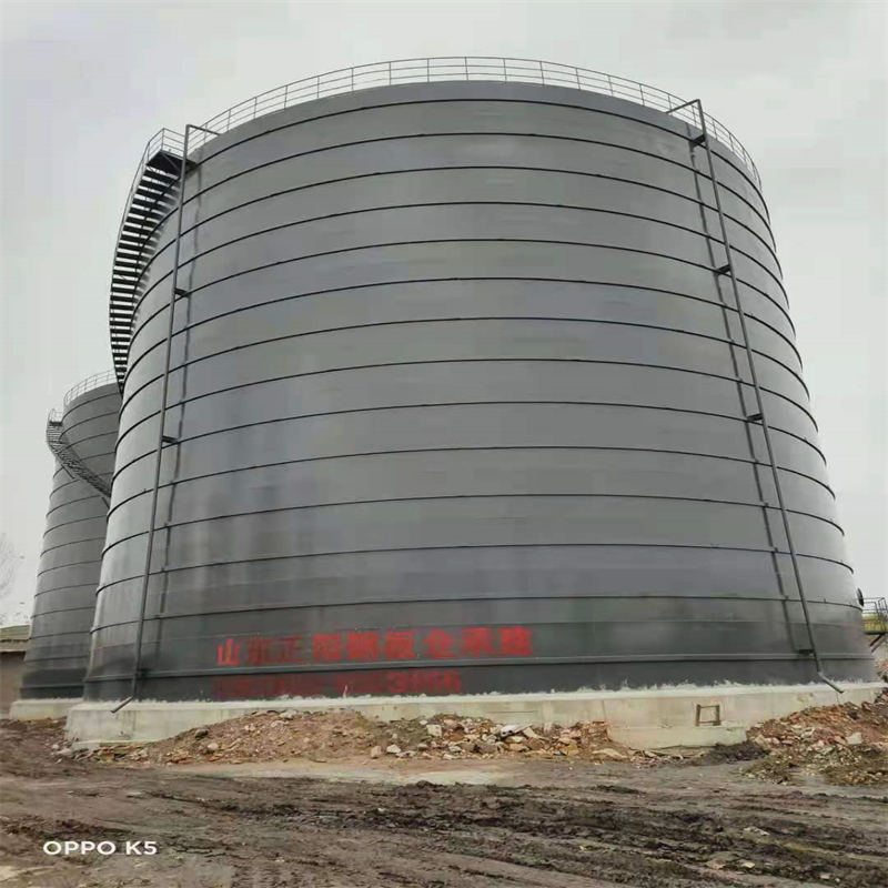 通什镇3万吨大型钢板库