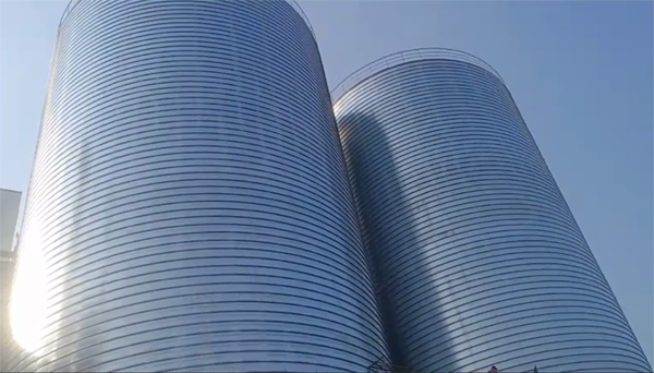 通什镇2座混凝土高架卷板仓